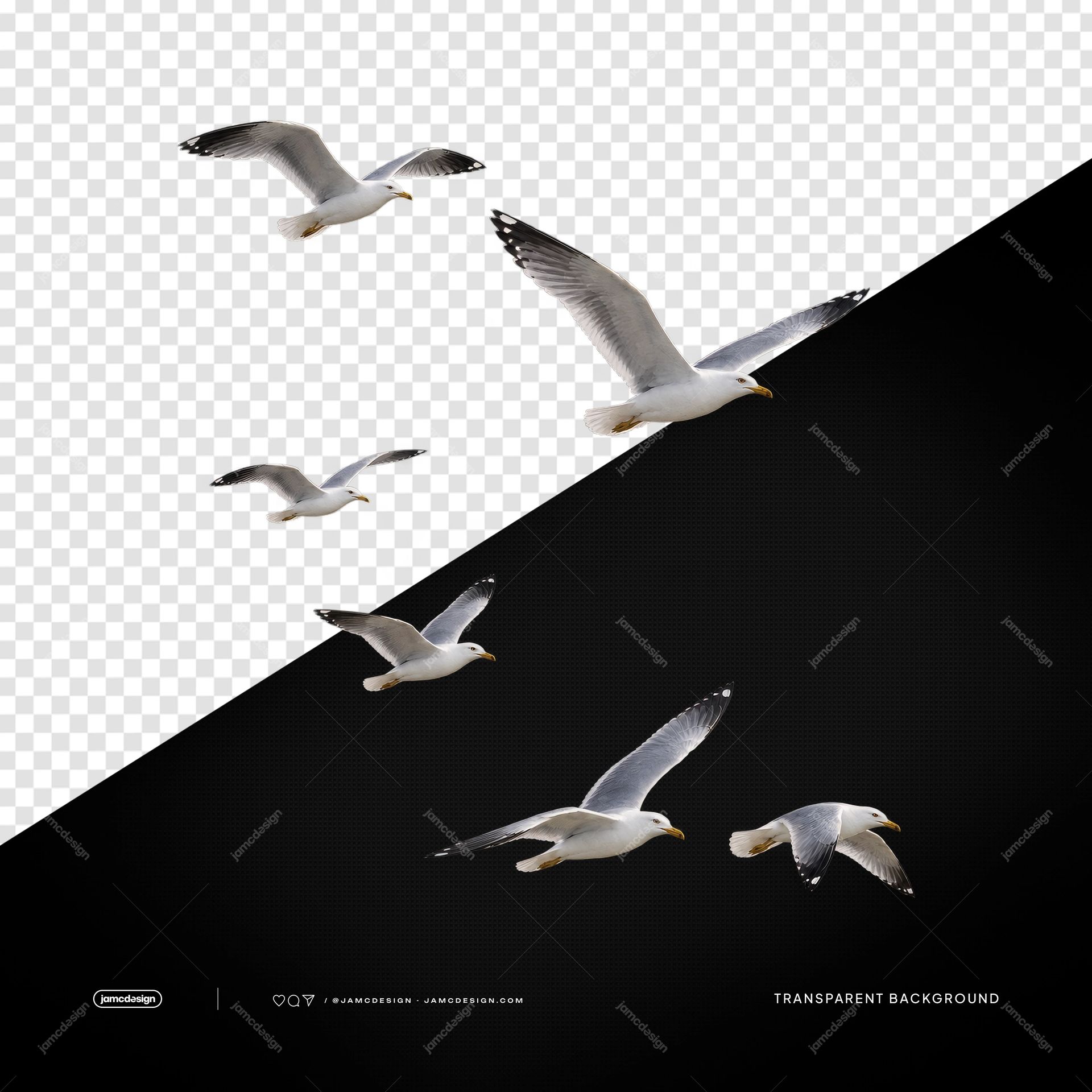 Seagulls With Spread Wings PNG. This transparent object PNG shows six realistic seagulls in flight with spread wings