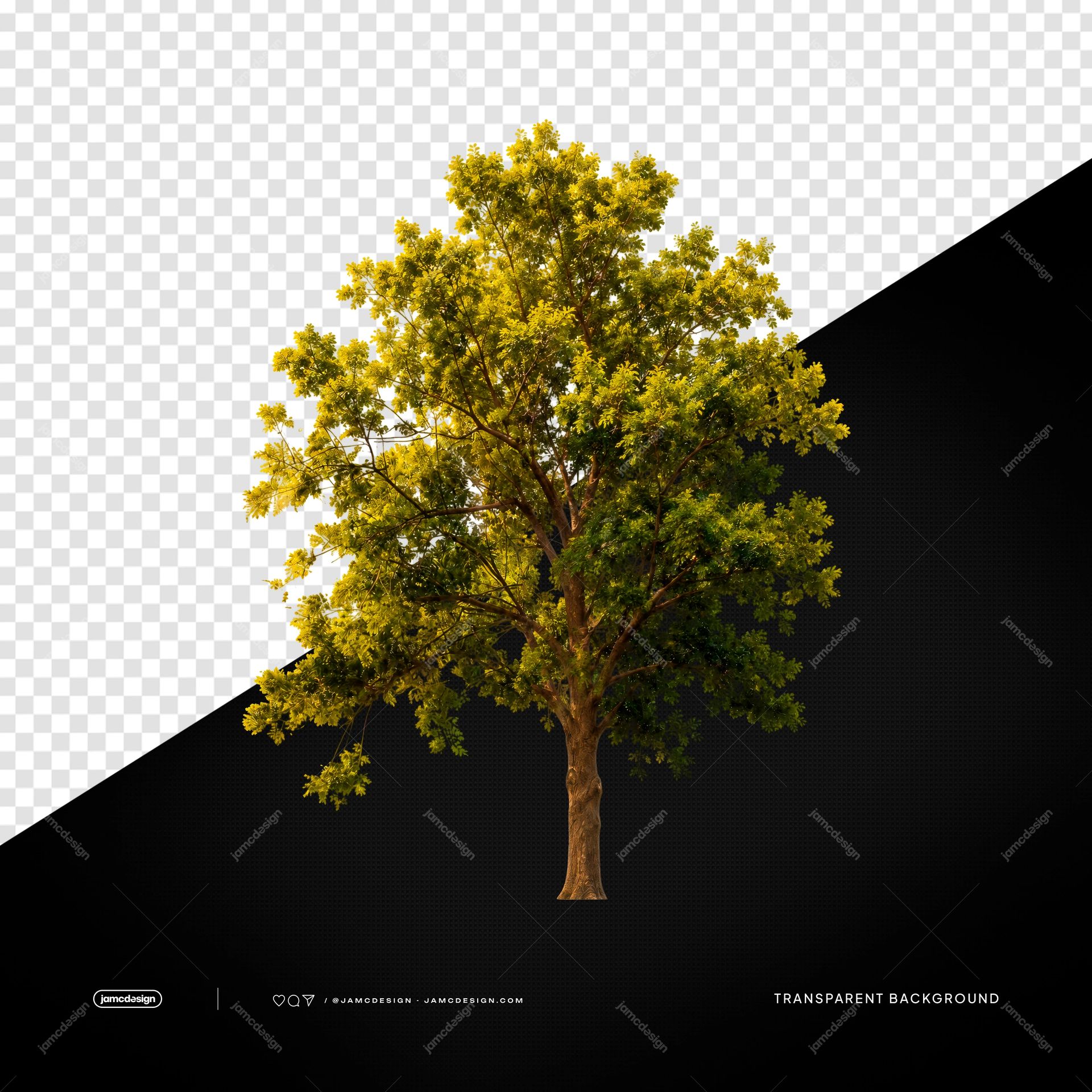 Lush Green Tree With Full Crown Golden Foliage PNG Transparent. Realistic PNG transparent object featuring a full leafy tree with a sturdy brown trunk
