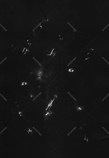 Black Texture With Scattered White Specks