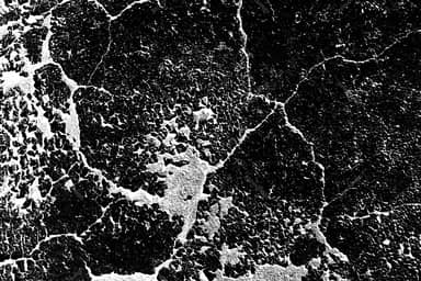 Black Stone Texture With White Veins PNG