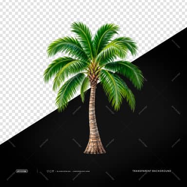 Tropical Palm Tree With Curved Trunk PNG