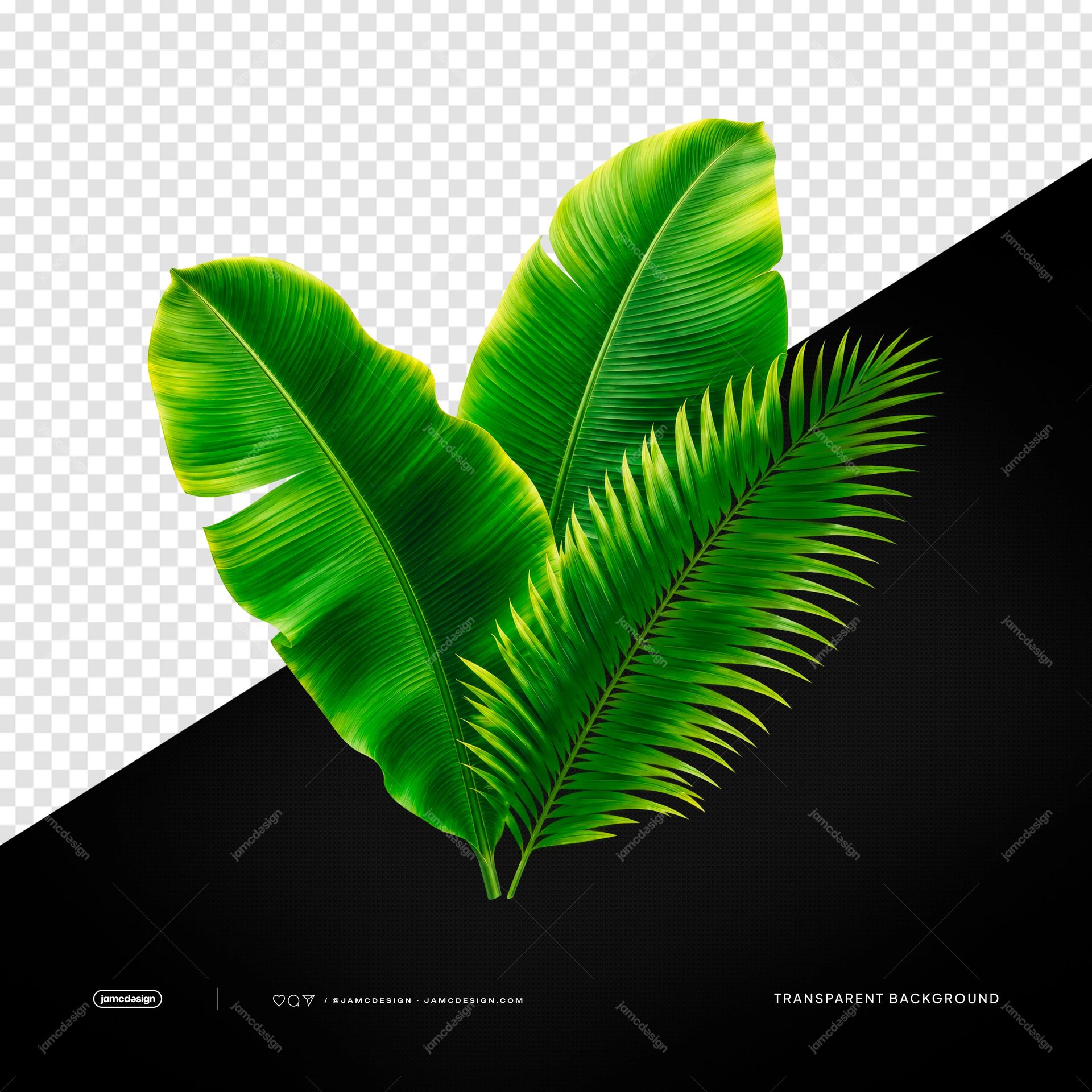 Hojas Tropicales De Banano Y Palma En Verde Intenso PNG Transparente. Este objeto PNG transparente presenta hojas de banano de un verde intenso y una fronda
