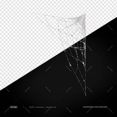 Silver Spiderweb In A Corner PNG