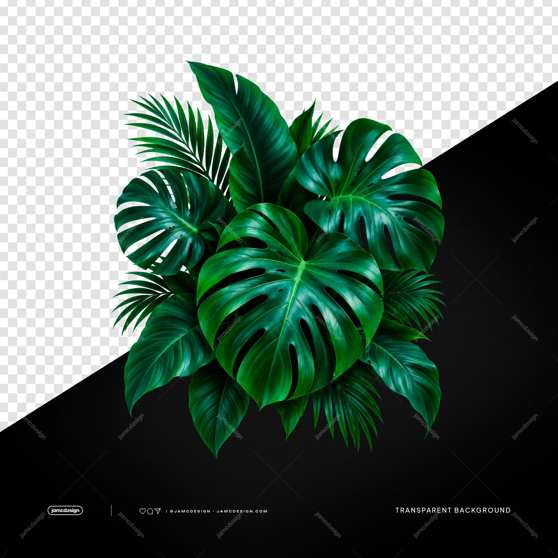 Monstera And Palm Foliage Arrangement PNG. This transparent object PNG gathers glossy monstera leaves and fine palm fronds in a realistic tropical foliage