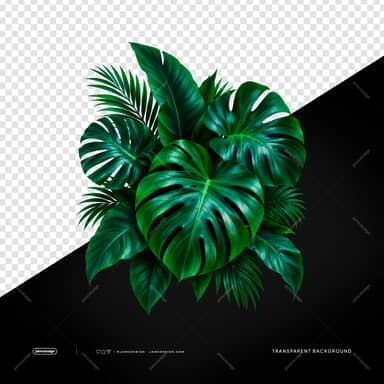 Monstera And Palm Foliage Arrangement PNG