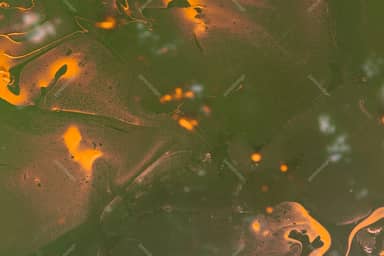 Abstract Green Ink Texture With Amber Swirls