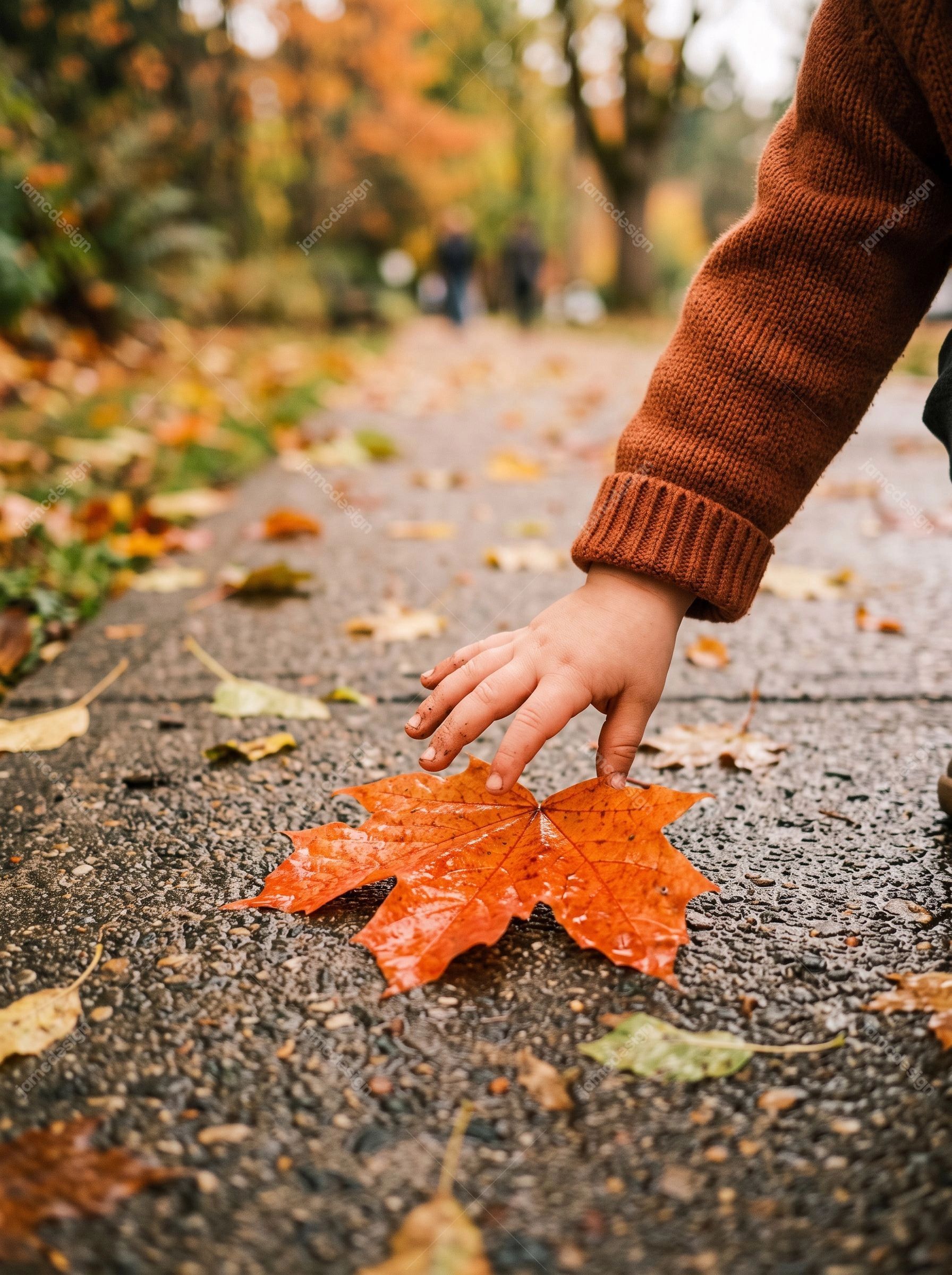 Enfant Ramassant Une Feuille D'Érable Dans Une Scène Automnale Floue. Téléchargez cette photo JPG d’un enfant tendant la main vers une feuille d’érable orange