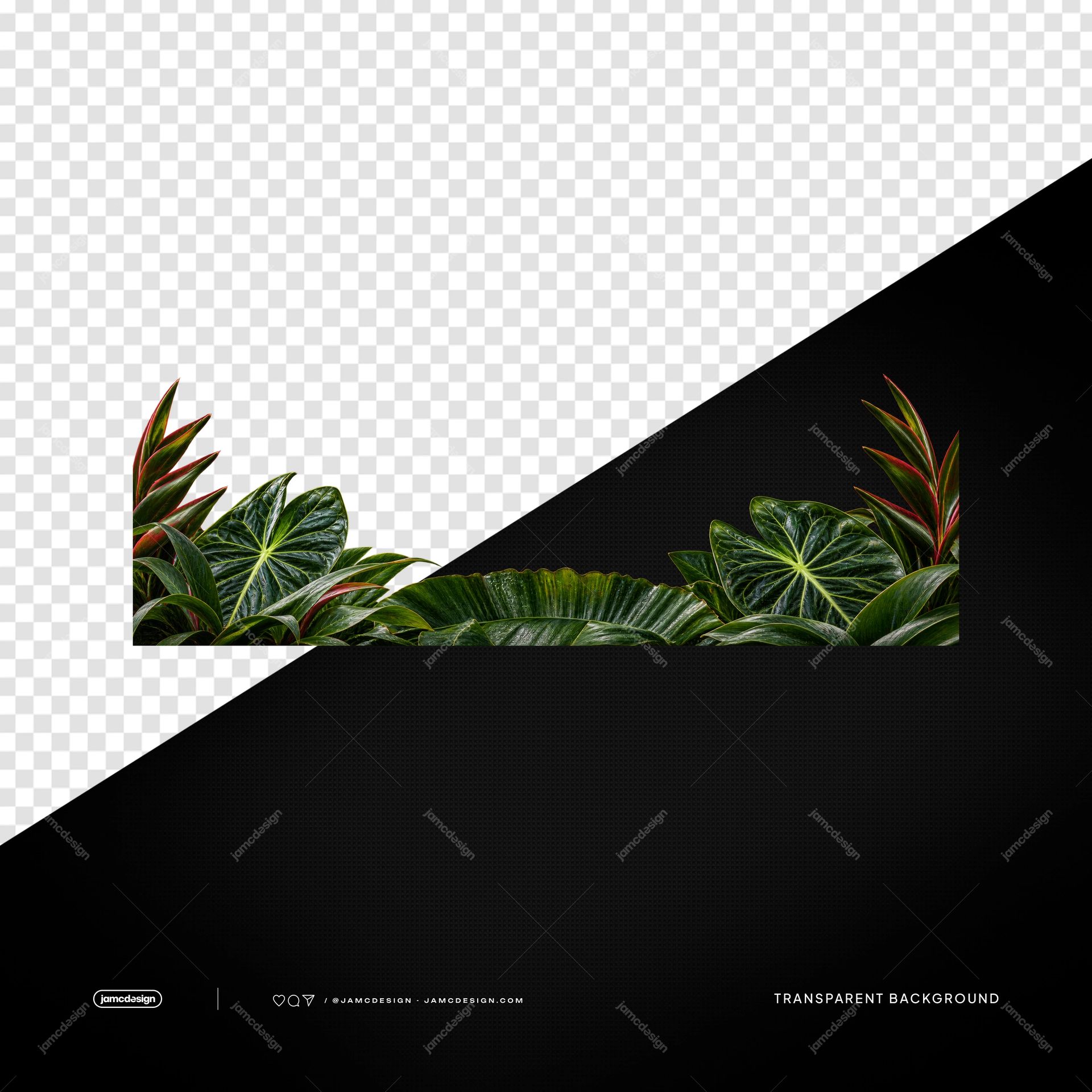 Tropical Green Foliage Border PNG. This PNG transparent object features a realistic tropical foliage border with layered green leaves and monstera shapes