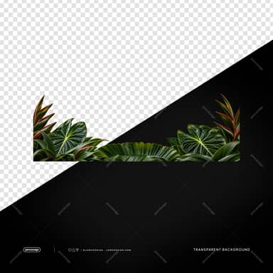 Tropical Green Foliage Border PNG
