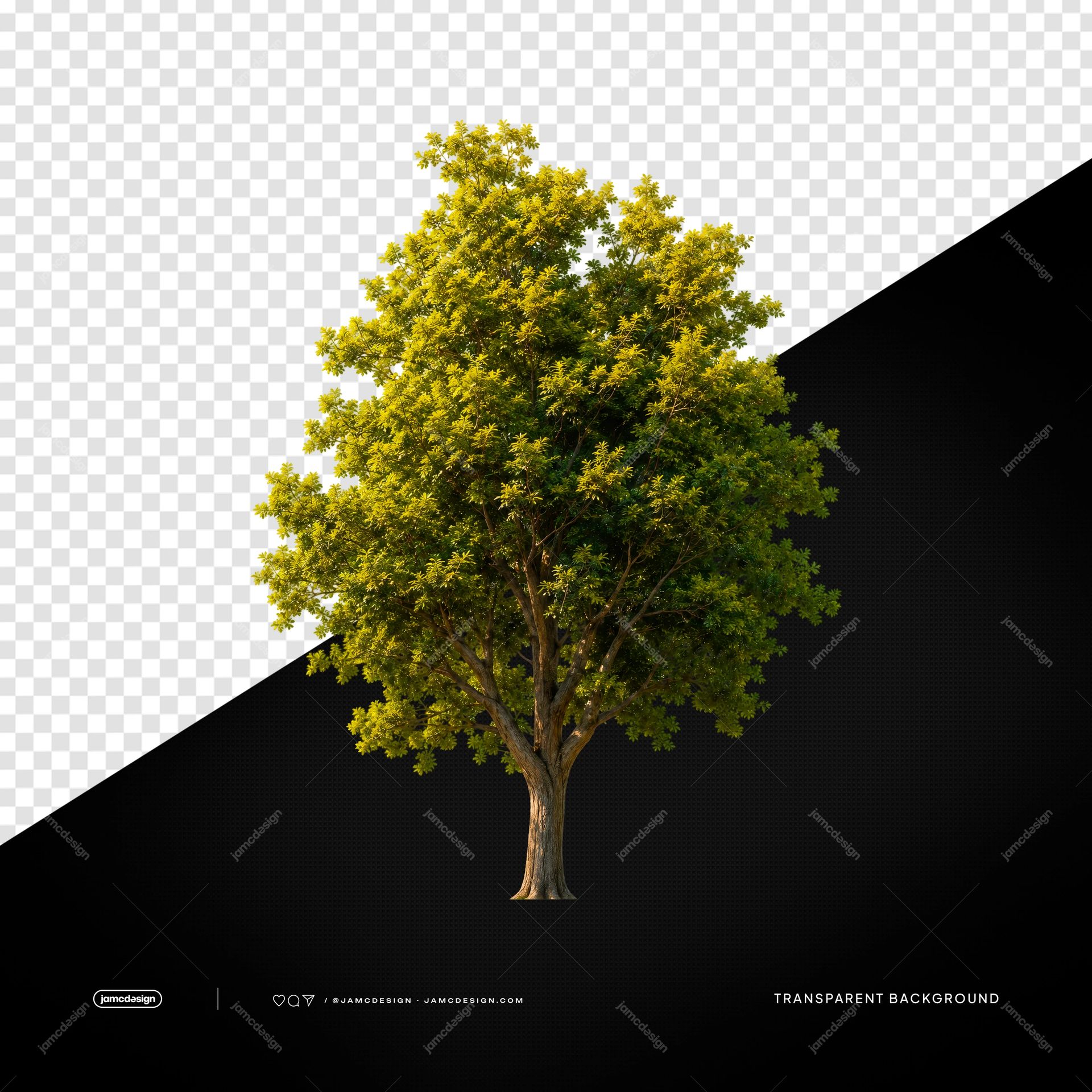 Dense Round Green Tree Golden Foliage PNG Transparent. Realistic PNG transparent object featuring a dense