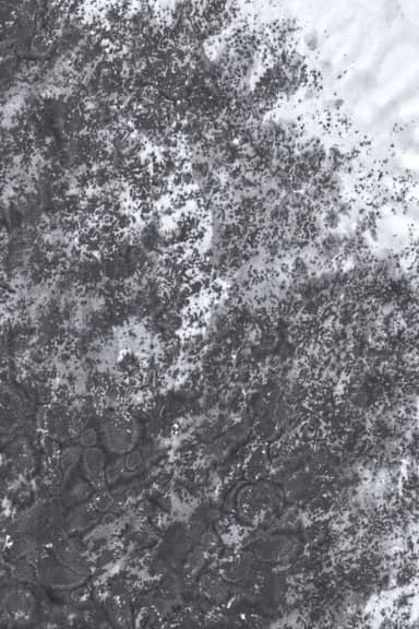 Mottled Charcoal Stone Texture