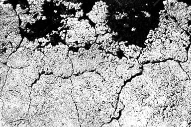 White Flaking Stone Texture PNG