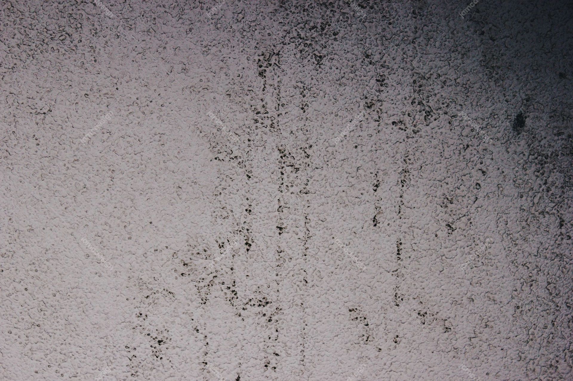 Mottled Gray Concrete Wall Texture. This JPG texture captures a mottled gray concrete wall with irregular black speckles and a rough, distressed surface