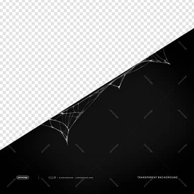 Diagonal Halloween Spiderweb Border PNG