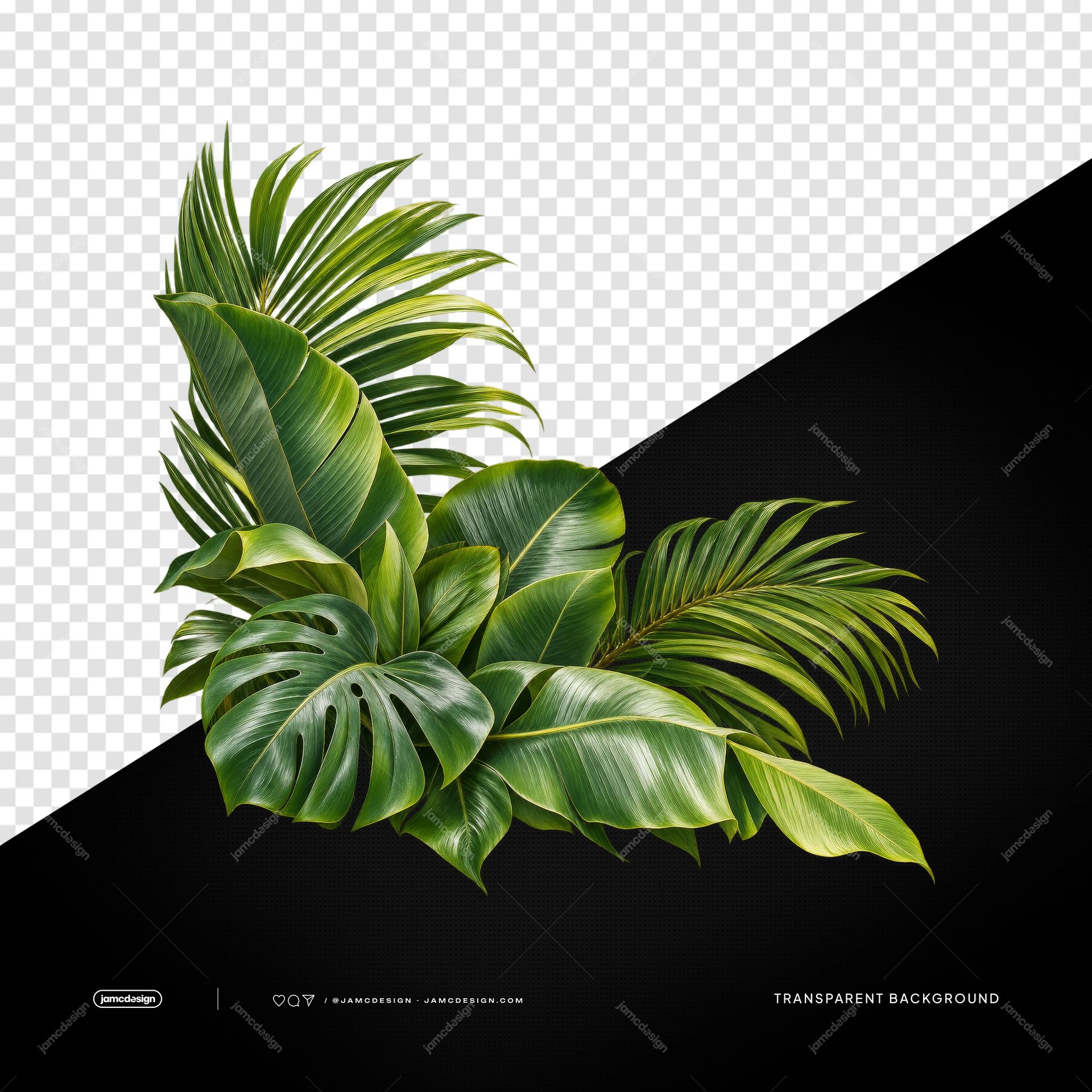 Tropical Foliage Cluster With Monstera PNG. This PNG transparent object features a realistic cluster of glossy green tropical leaves