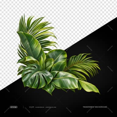 Tropical Foliage Cluster With Monstera PNG