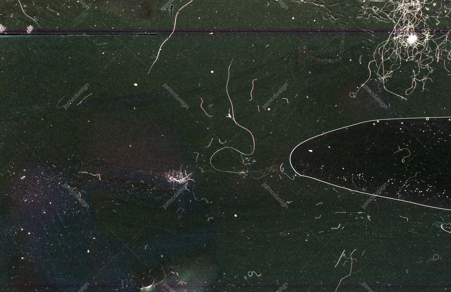 Dark Green Film Surface Texture With Fine Scratches. This JPG texture shows a dark green tinted film surface scattered with fine scratches