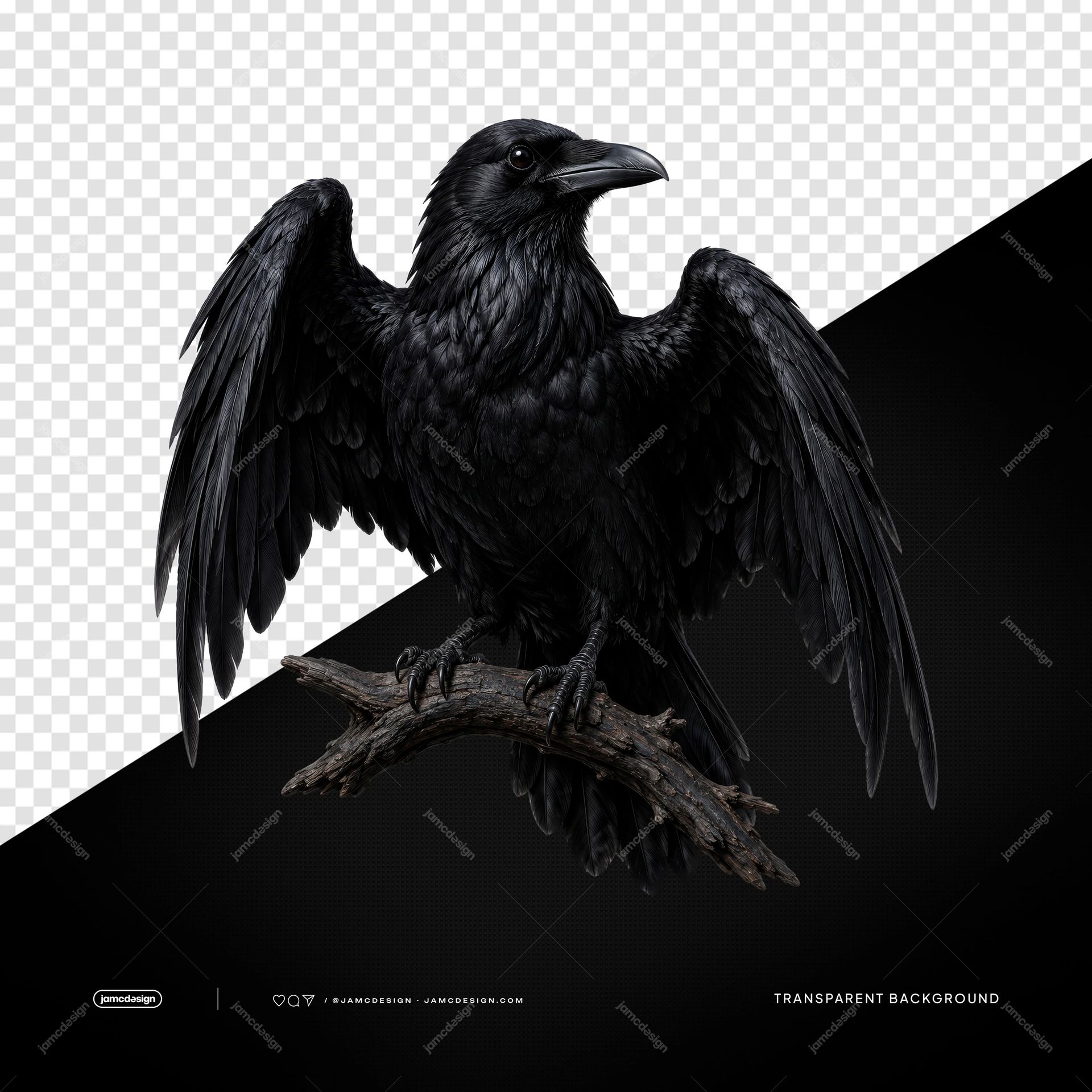 Modelo De Fundo PNG Transparente Corvo Preto Realista Com Asas Abertas. Corvo preto realista com asas abertas fornecido como objeto PNG transparente