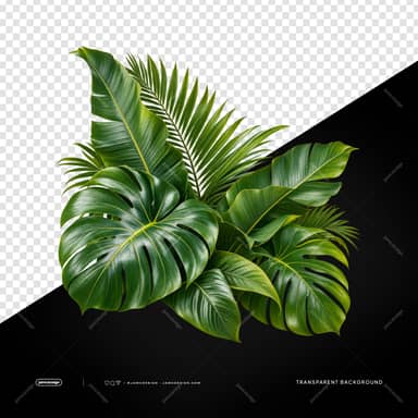Monstera And Palm Leaf Cluster PNG