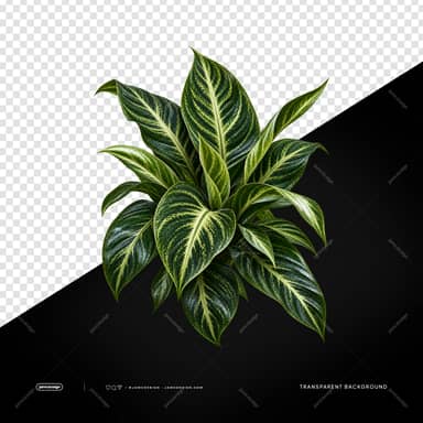 Variegated Tropical Plant Cluster PNG