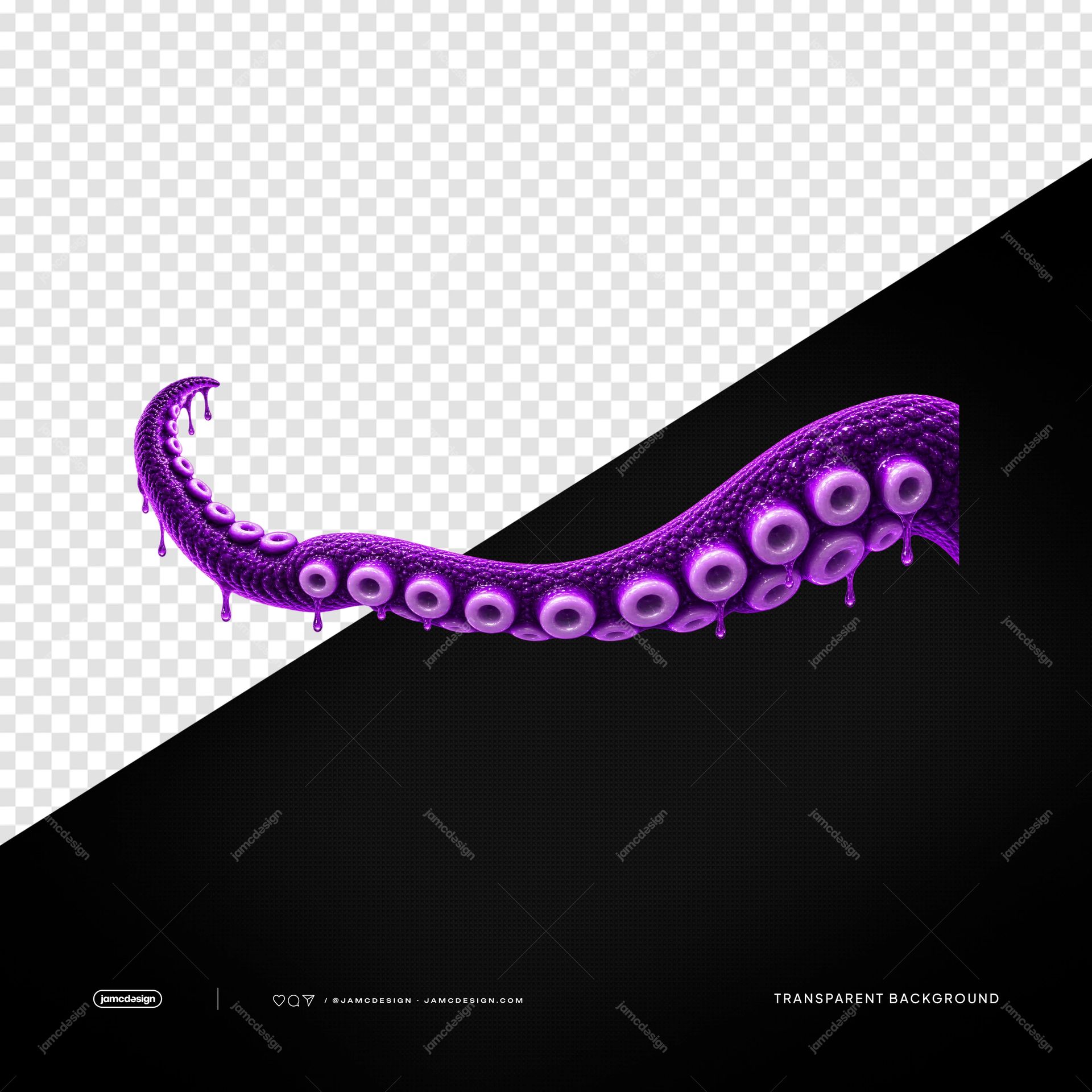 Curved Purple Octopus Tentacle PNG. This transparent PNG object features a curved purple octopus tentacle with rows of rounded suction cups