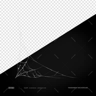 Halloween Spiderweb Corner Overlay PNG