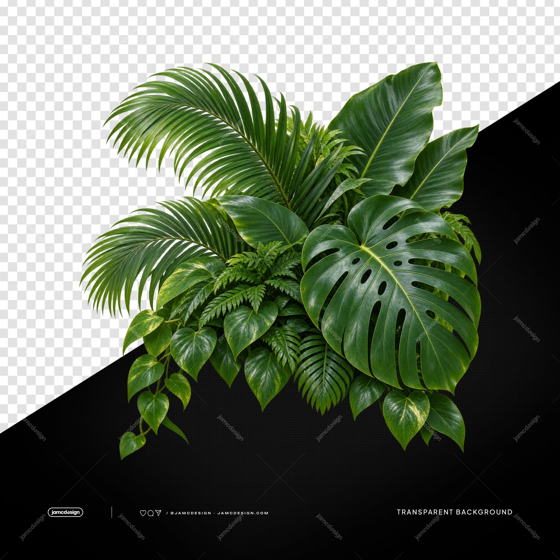 Folhas Tropicais Verdes Isoladas PNG. Adicione um toque tropical com este objeto PNG transparente: um conjunto realista de folhas de palmeira