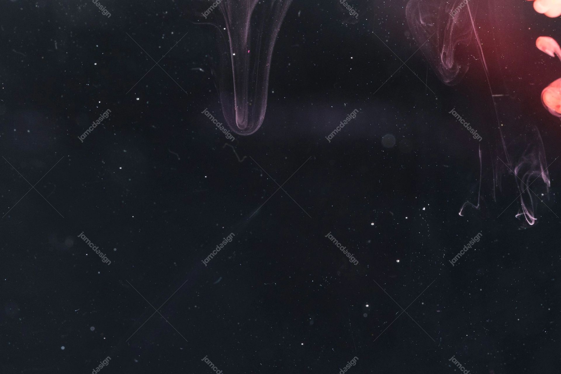 Textura De Tinta Oscura Con Reflejo De Luz Rosa. Esta textura JPG muestra finas volutas de tinta morada que flotan sobre una superficie casi negra