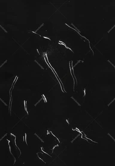 Black Texture With Scattered White Streaks