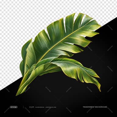 Large Green Banana Leaf Close-Up PNG