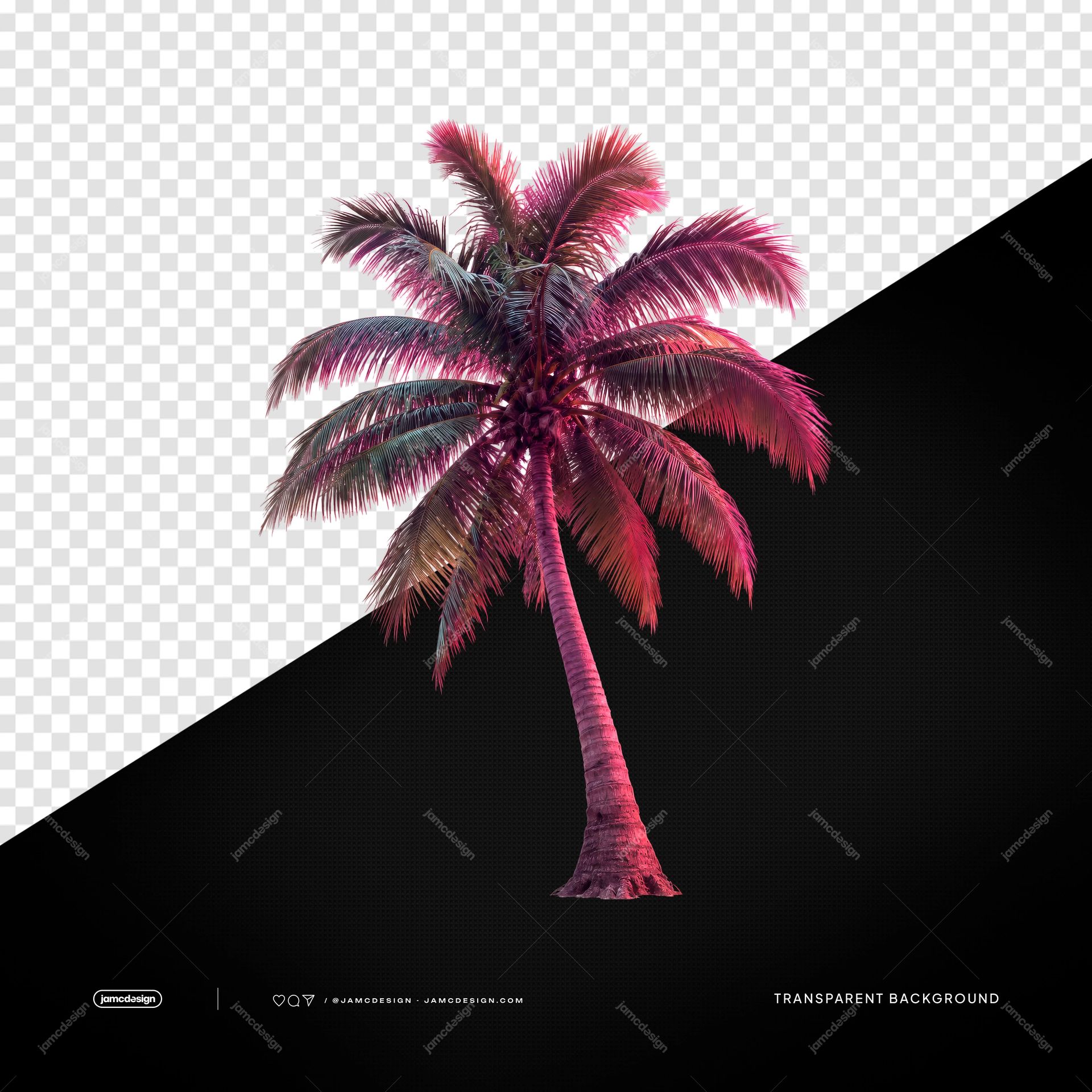 Palmera Iluminada Con Neón Rosa PNG. Este PNG transparente muestra una palmera realista bañada por una intensa luz de neón rosa