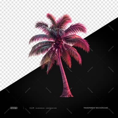 Pink Neon Palm Tree PNG