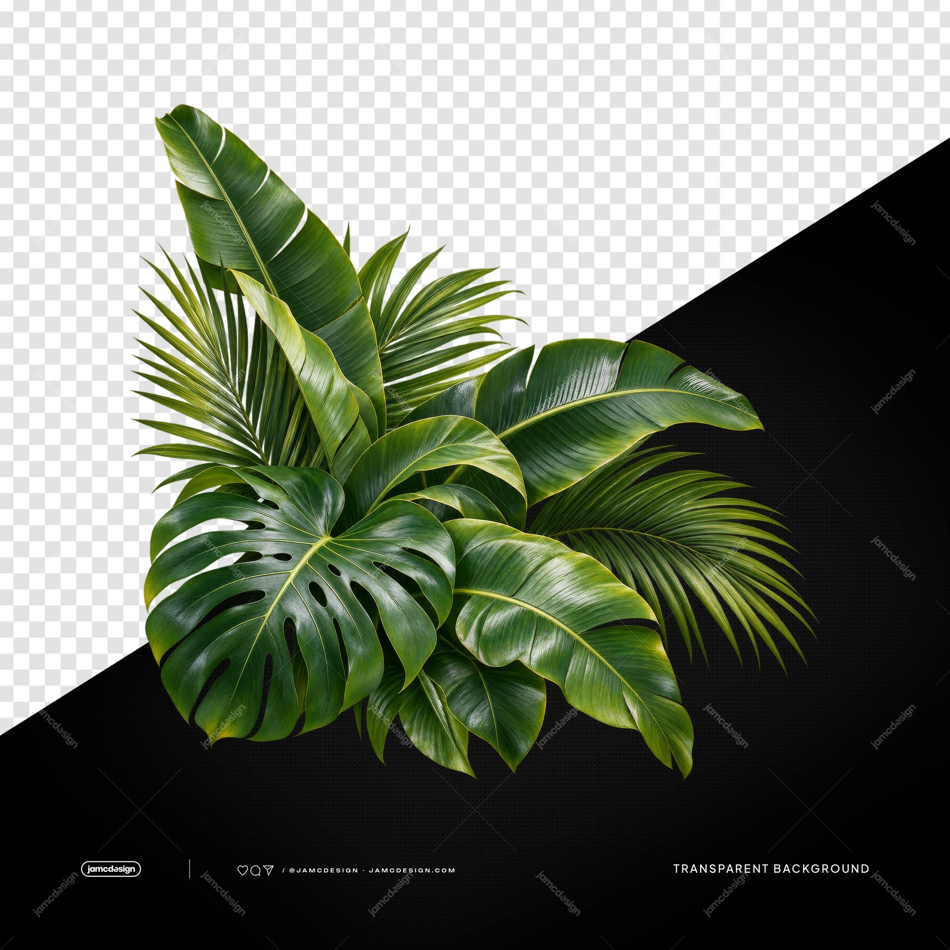 Monstera And Palm Foliage Cluster PNG. This PNG transparent object features a realistic cluster of glossy monstera leaves and fine palm fronds