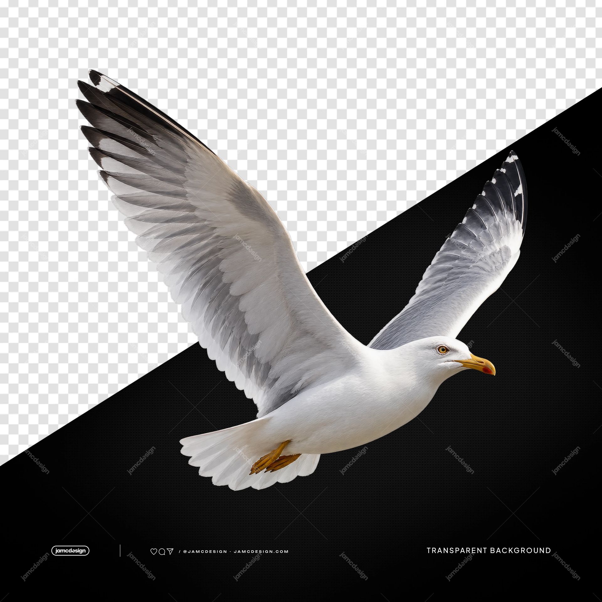 White Seagull In Flight With Raised Wings PNG. This PNG transparent object features a photorealistic white seagull in flight