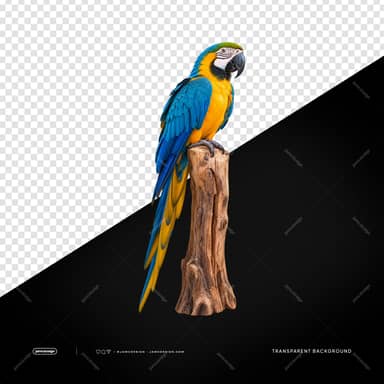 Blue-And-Yellow Macaw Perched On A Tree Stump PNG