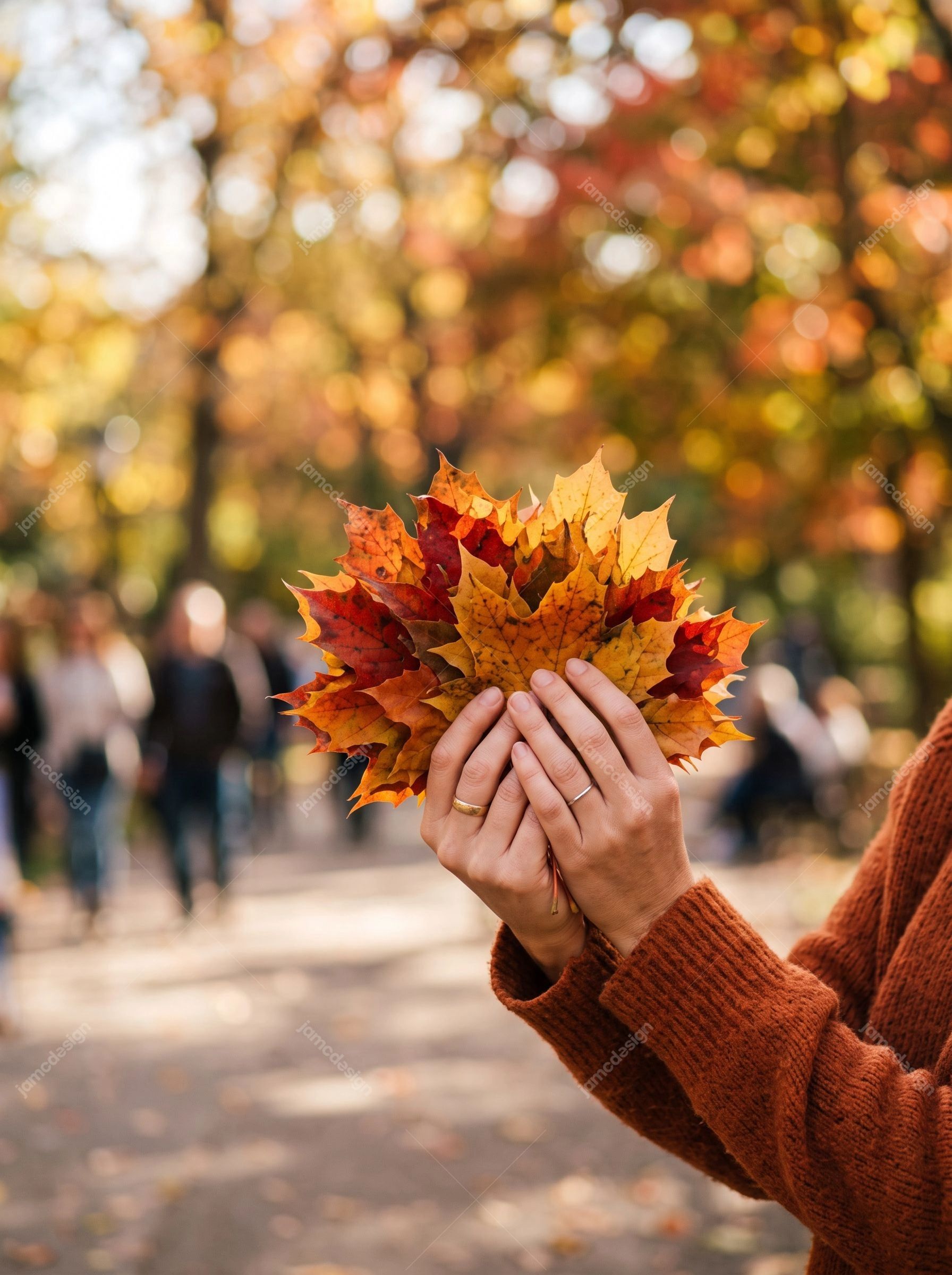 Photo De Mains Tenant Des Feuilles D'Érable D'Automne Colorées. Cette photo JPG réaliste montre des mains tenant un bouquet coloré de feuilles d’érable