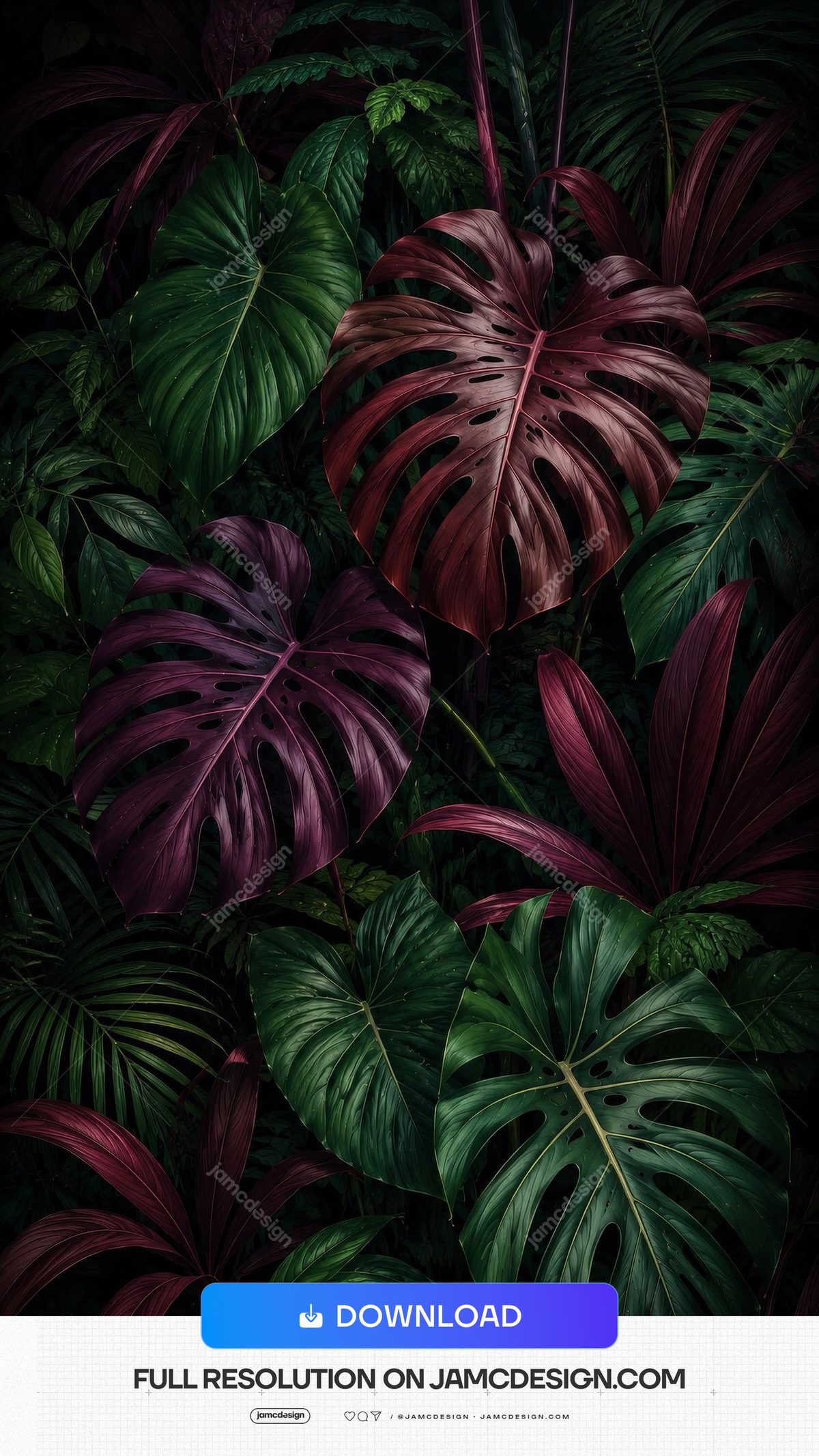 Dark Burgundy Monstera Leaves Jungle Background. JPG background of dense tropical foliage with large monstera leaves in deep burgundy and dark green tones — Additional preview