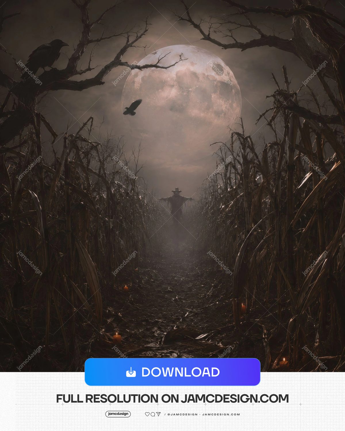 Fundo De Halloween Com Espantalho, Plantação De Milho E Lua Cheia. Fundo em JPG de um caminho escuro entre plantações de milho sob uma enorme lua cheia — Prévia adicional