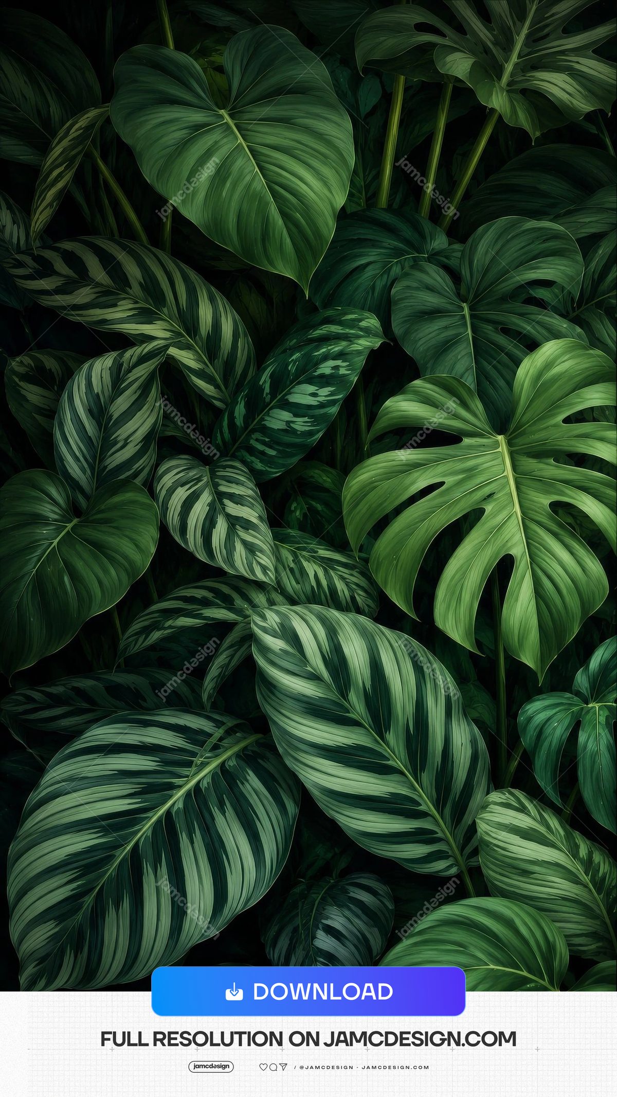 Dark Variegated Tropical Leaves Botanical Background. Variegated tropical leaves JPG background featuring overlapping monstera and striped foliage in deep — Additional preview