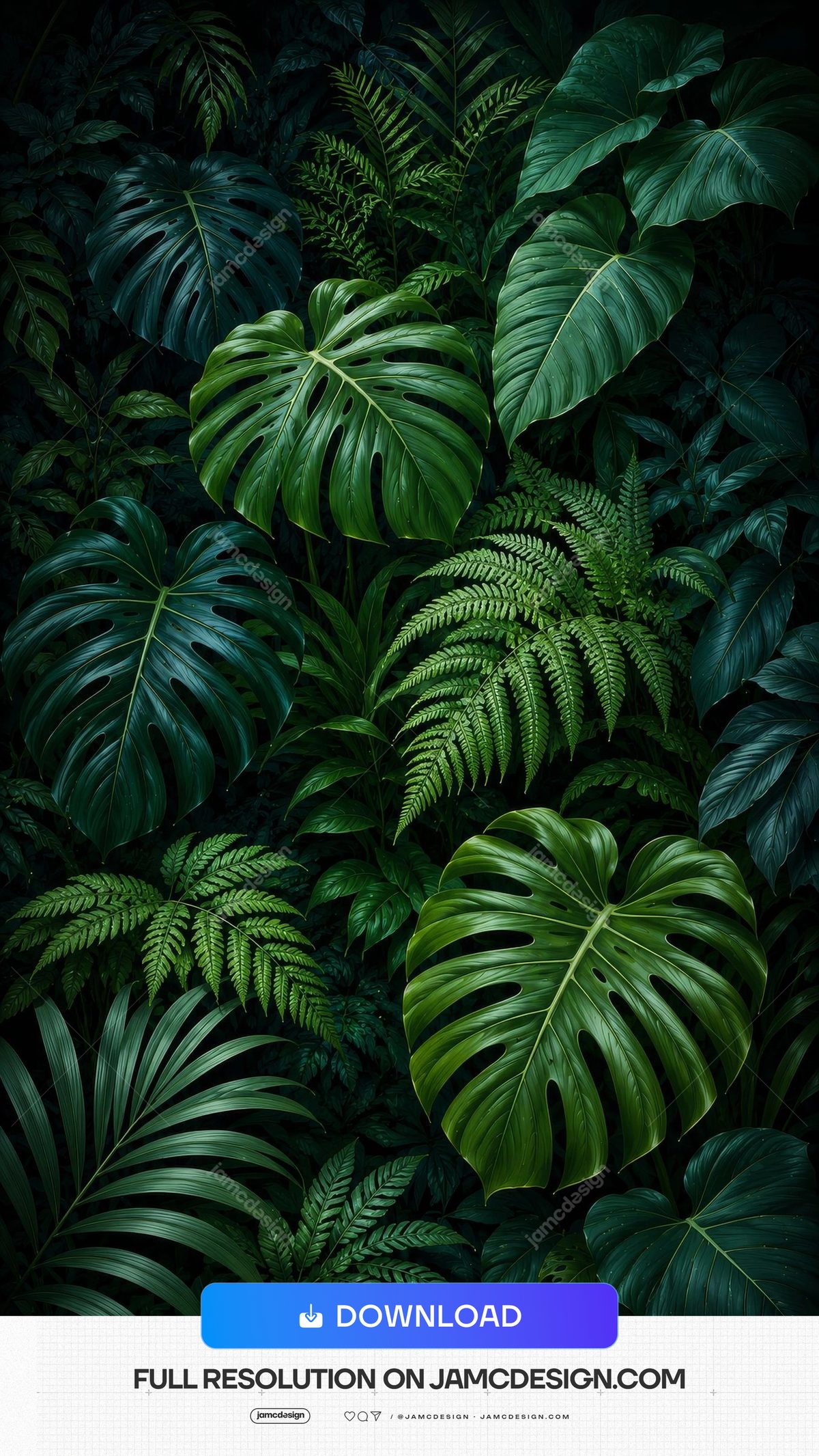 Deep Green Ferns And Monstera Jungle Foliage Background. Jungle foliage background supplied as a JPG, showing layered monstera leaves — Additional preview