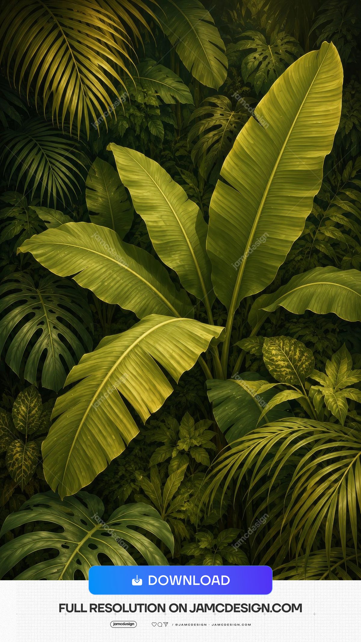 Olive Banana Leaves Tropical Jungle Background. Tropical jungle botanical background rendered as a JPG — Additional preview