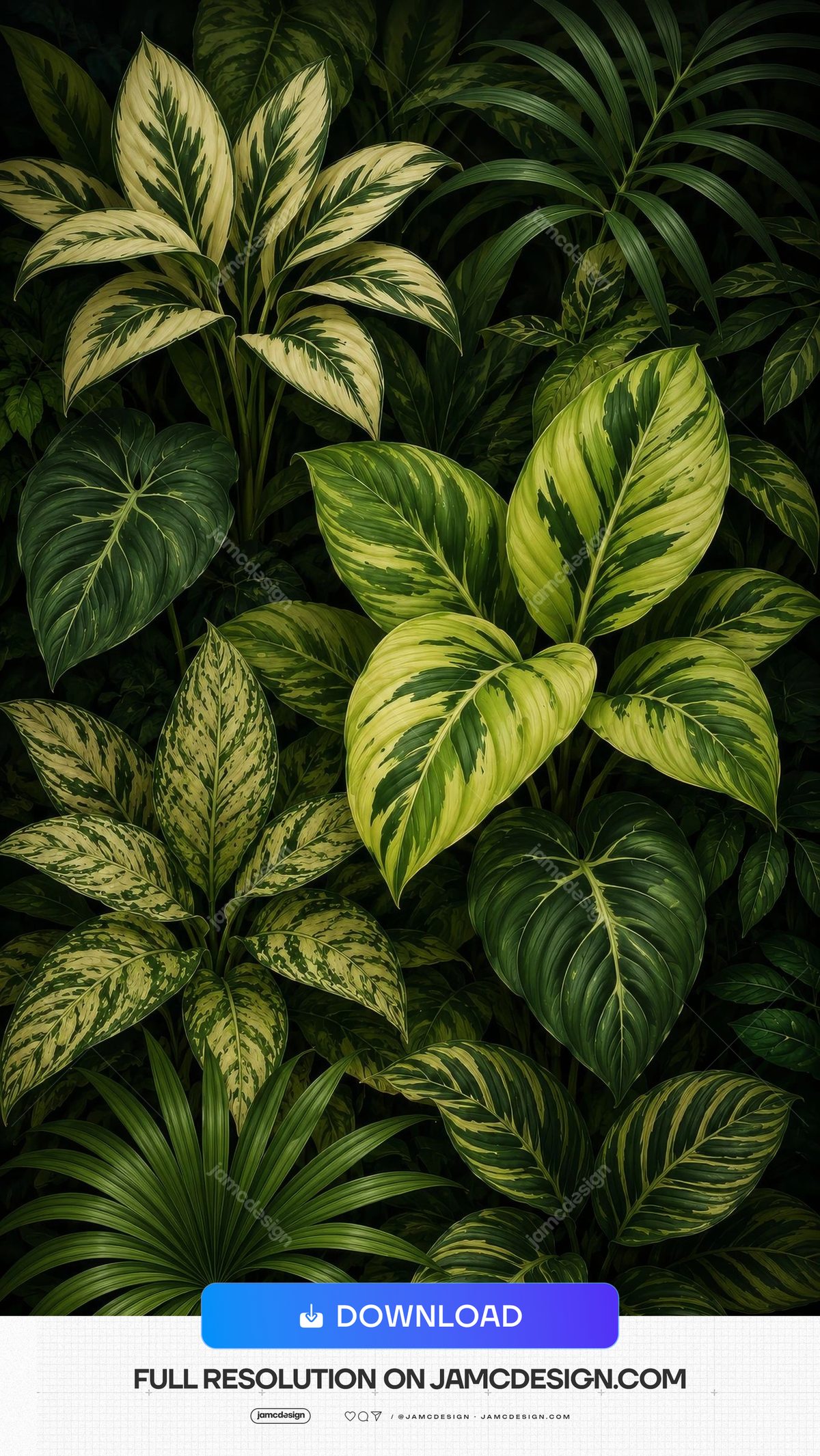 Variegated Cream Green Tropical Leaves Background. Variegated cream and green tropical leaves arranged as a dense botanical backdrop — Additional preview