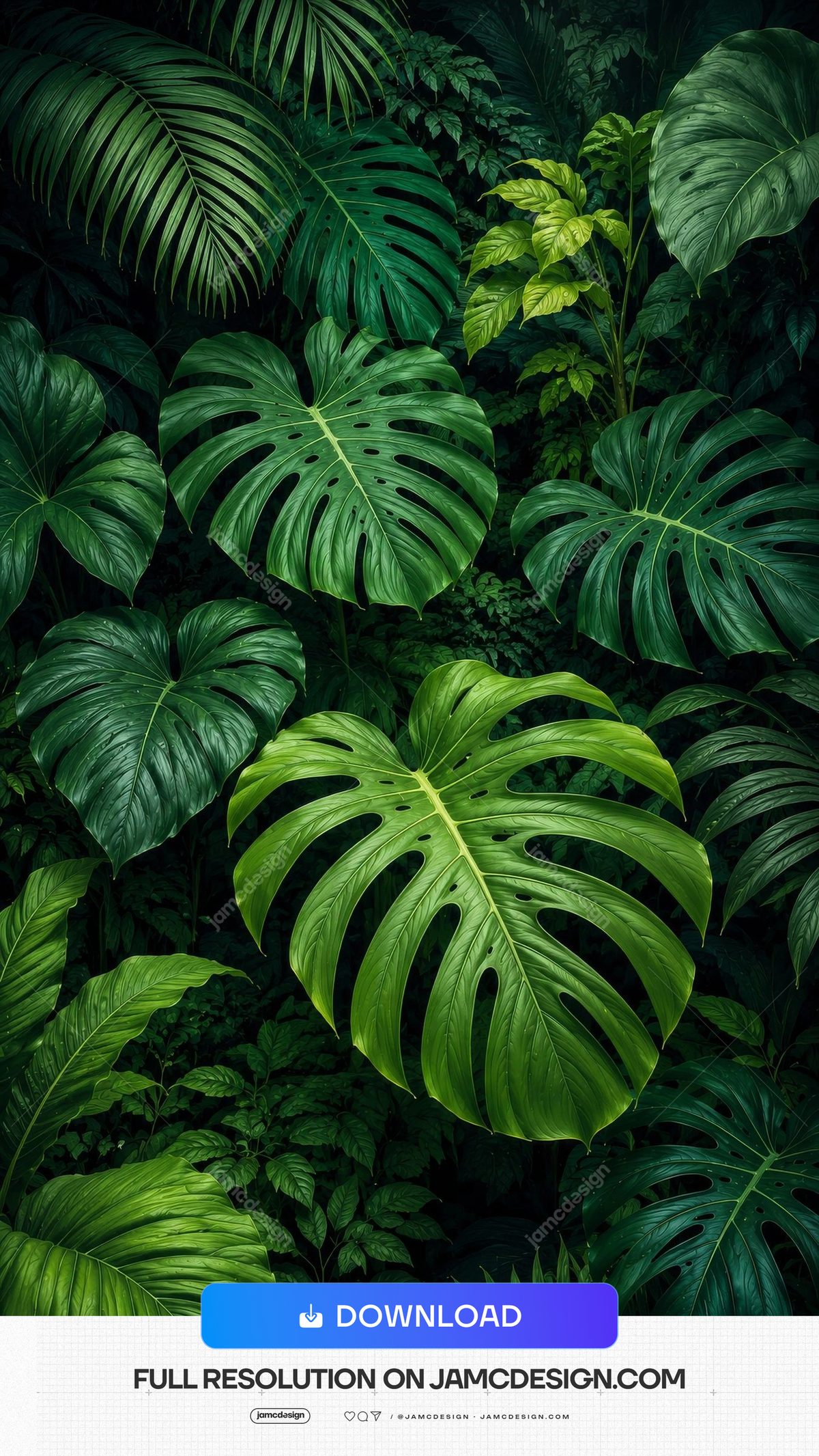Lush Tropical Green Monstera Leaves Jungle Background. Dense tropical foliage supplied as a JPG background, featuring large split monstera leaves — Additional preview