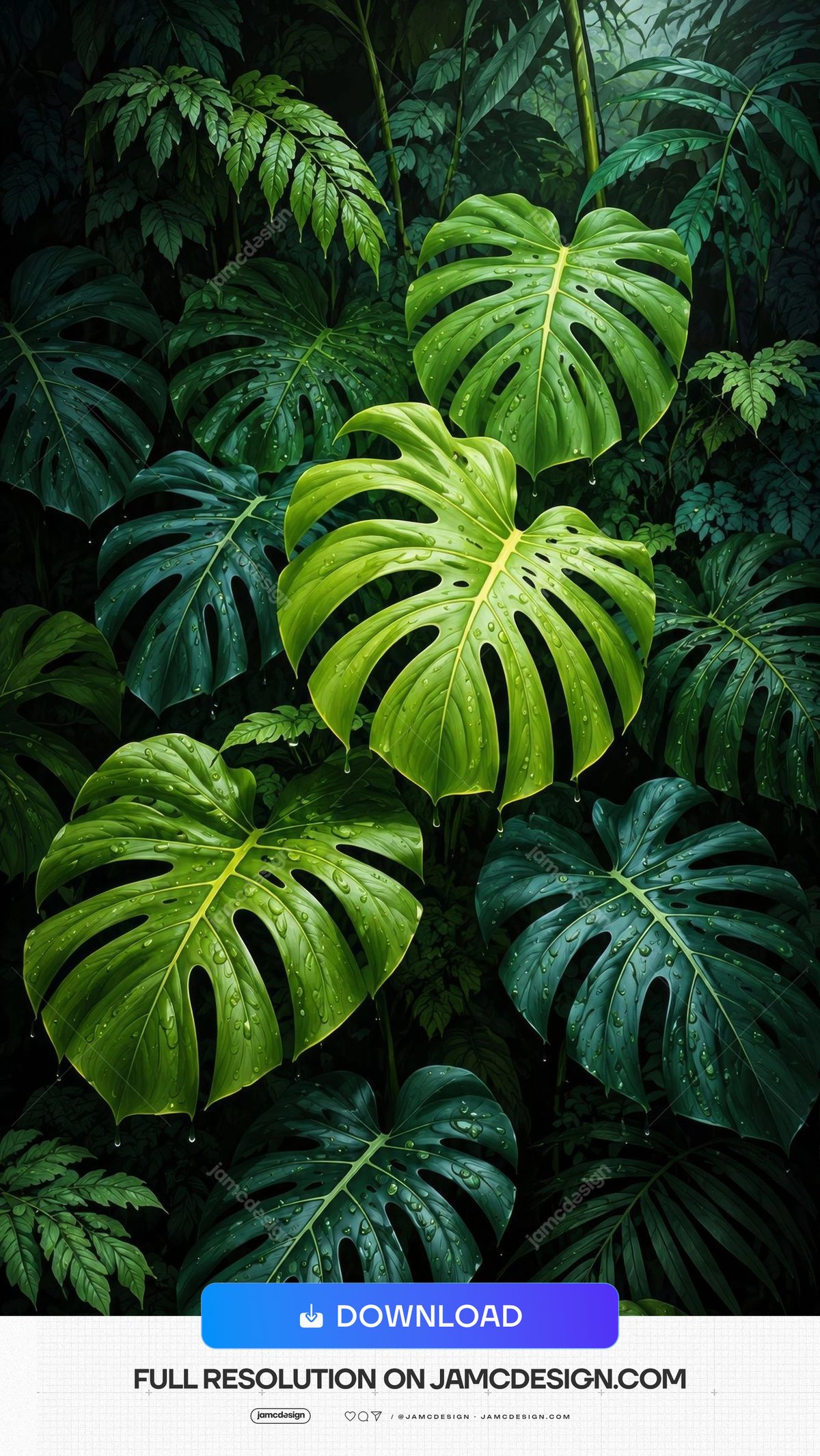 Lush Tropical Monstera Leaves Jungle Background. Lush tropical jungle background supplied as a JPG — Additional preview