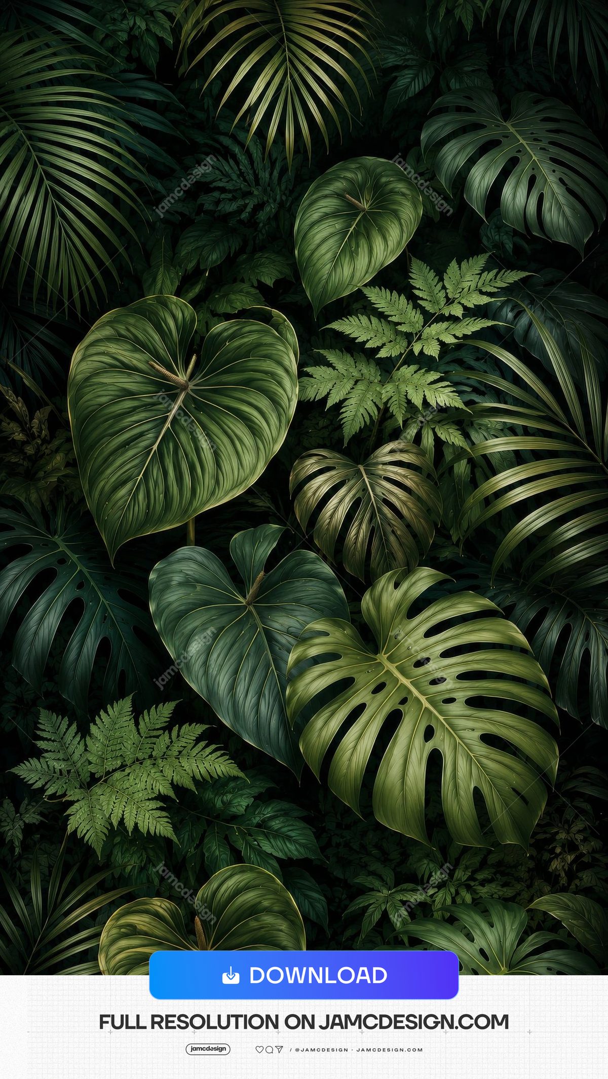 Exotic Anthurium Monstera Ferns Tropical Background. JPG background of dense tropical foliage in deep greens, featuring large heart-shaped leaves — Additional preview
